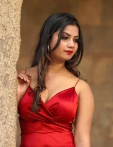 call girl service in Besant Nagar